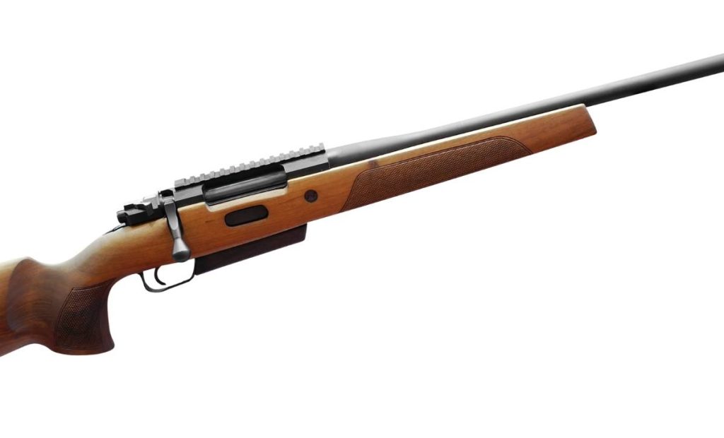 carabine-chasse-cerf