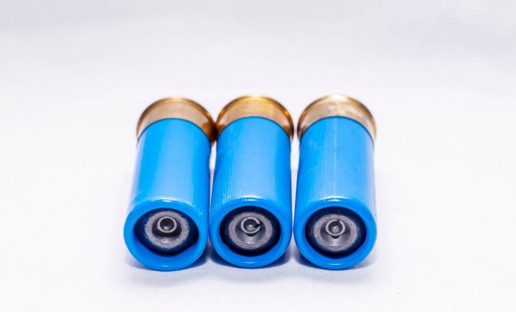 slug calibre 12 chasse