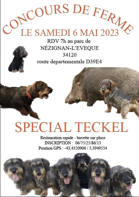 concours chien NEZIGNAN LEVEQUE 34
