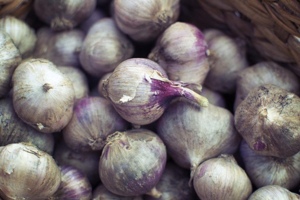 recette-poelee-sanglier