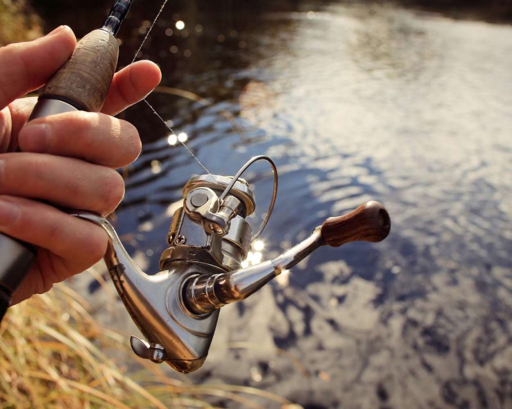 pêche spinning france
