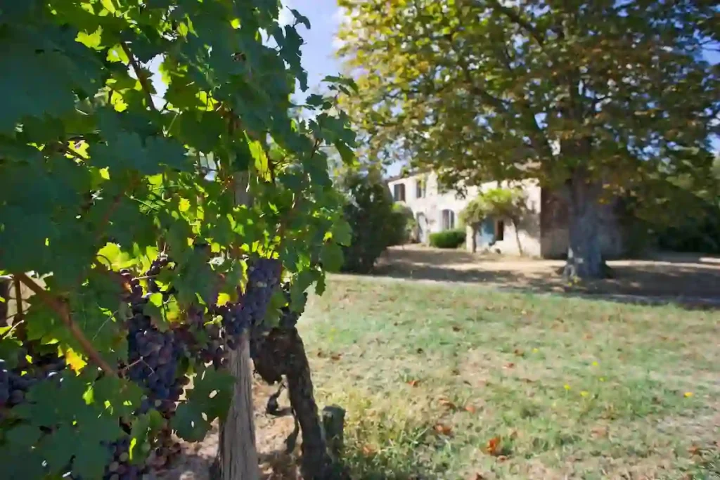 Avis sur Barnes‑Propriétés‑Châteaux.com : une plateforme immobilière haut de gamme adaptée aux passionnés de nature et territoire